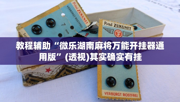 教程辅助“微乐湖南麻将万能开挂器通用版”(透视)其实确实有挂