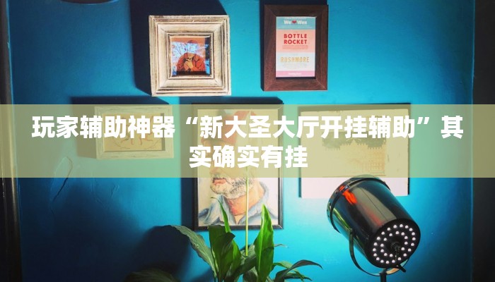 玩家辅助神器“新大圣大厅开挂辅助”其实确实有挂