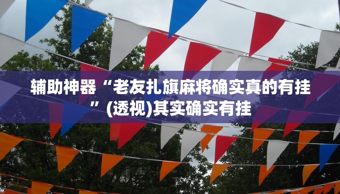 辅助神器“老友扎旗麻将确实真的有挂”(透视)其实确实有挂