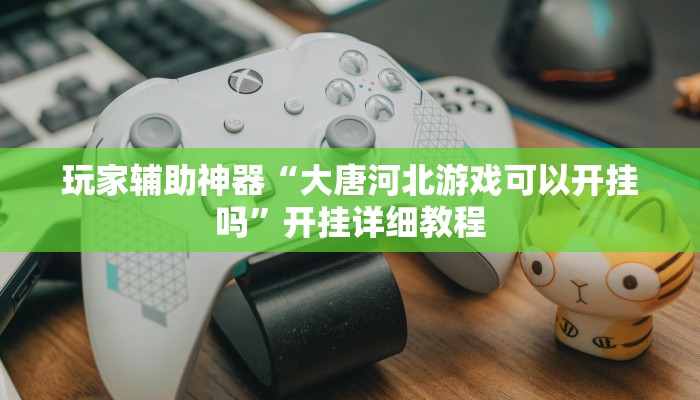 玩家辅助神器“大唐河北游戏可以开挂吗”开挂详细教程