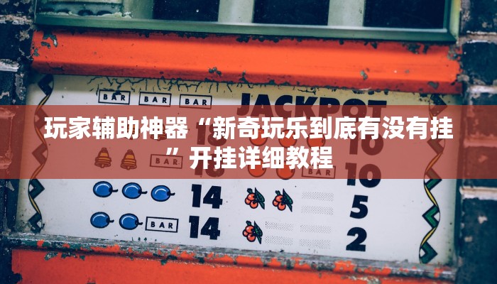 玩家辅助神器“新奇玩乐到底有没有挂”开挂详细教程