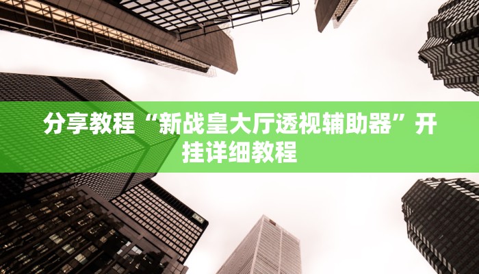 分享教程“新战皇大厅透视辅助器”开挂详细教程