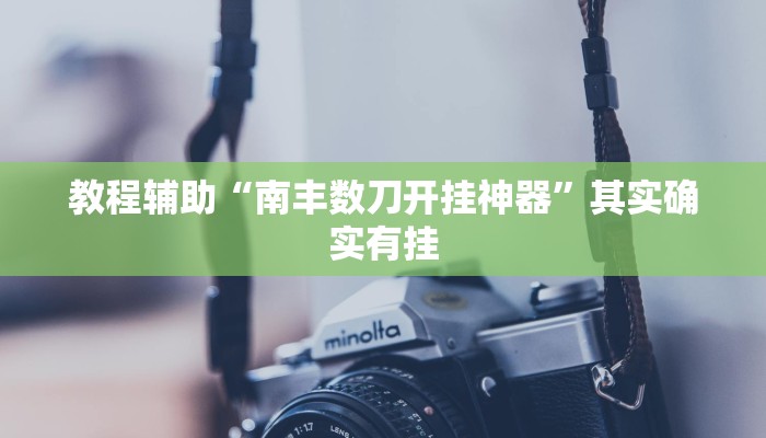 教程辅助“南丰数刀开挂神器”其实确实有挂