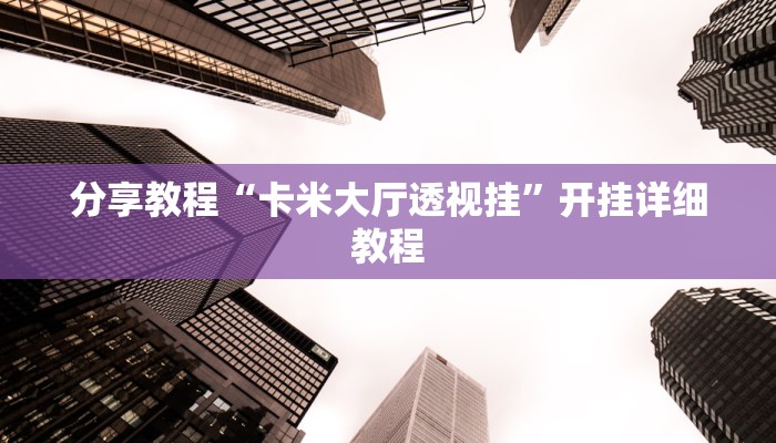 分享教程“卡米大厅透视挂”开挂详细教程