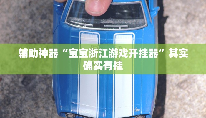 辅助神器“宝宝浙江游戏开挂器”其实确实有挂