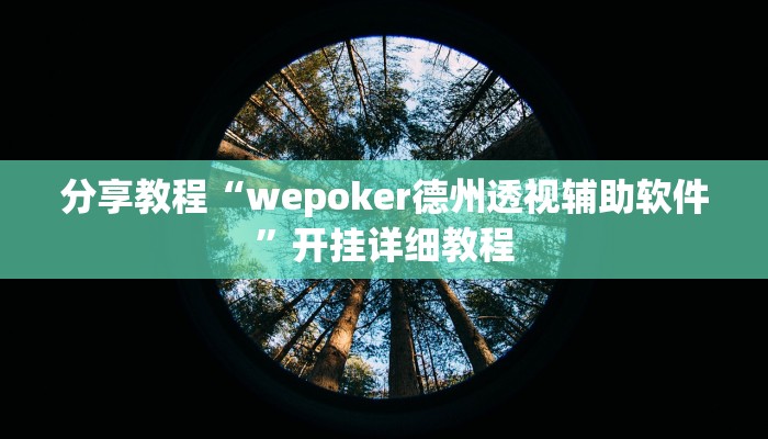 分享教程“wepoker德州透视辅助软件”开挂详细教程