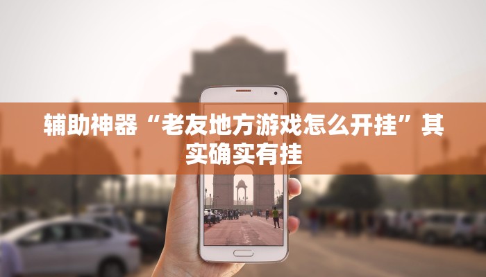 辅助神器“老友地方游戏怎么开挂”其实确实有挂
