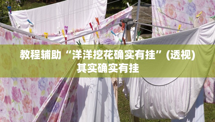 教程辅助“洋洋挖花确实有挂”(透视)其实确实有挂