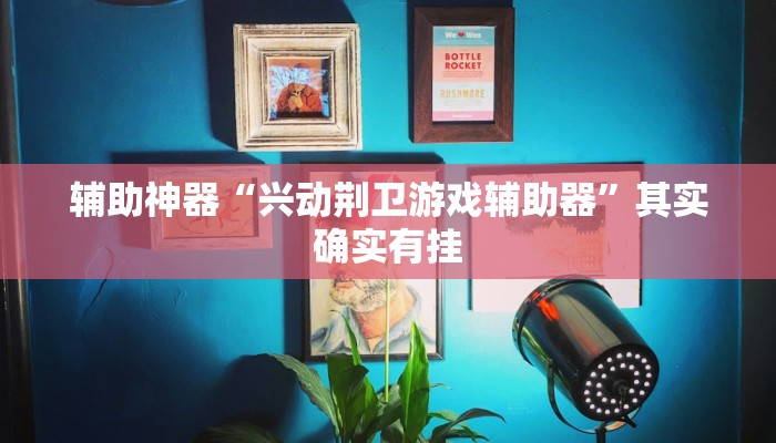 辅助神器“兴动荆卫游戏辅助器”其实确实有挂