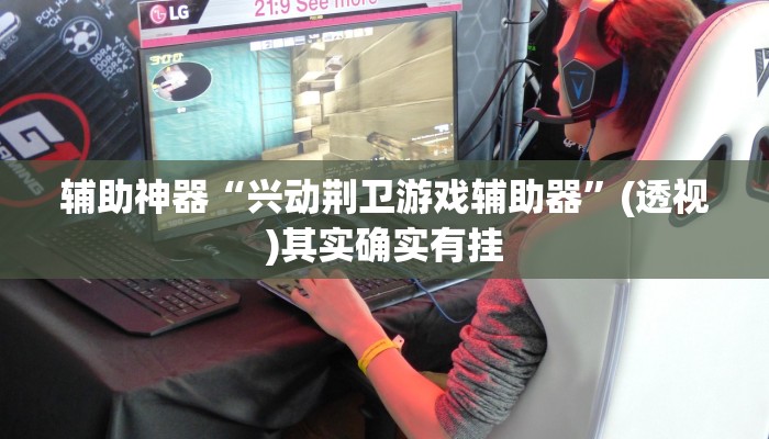 辅助神器“兴动荆卫游戏辅助器”(透视)其实确实有挂