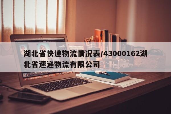 湖北省快递物流情况表/43000162湖北省速递物流有限公司